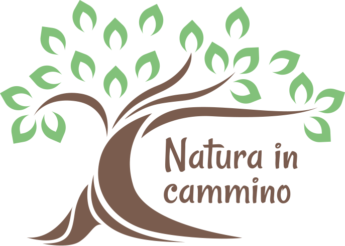 Natura in Cammino | Yoga & Pilates | Pergine Logo